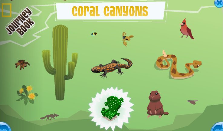 Coral-Canyons