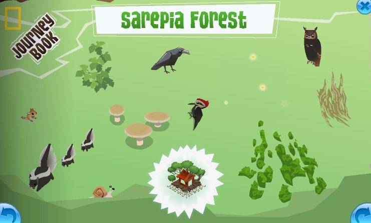 Sarapia-Forest