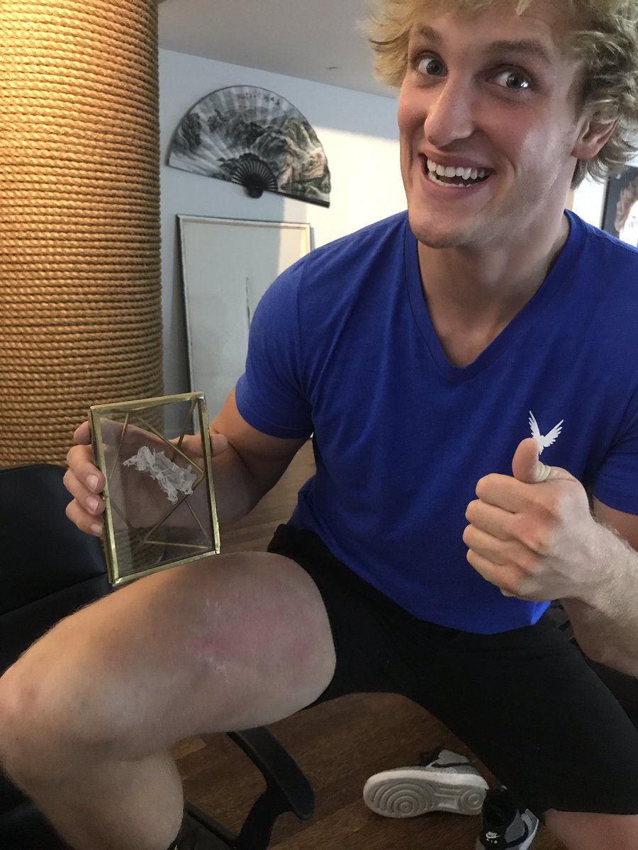 Logan Paul and Chloe Bennet are selling a piece of his sunburnt skin on eBa...
